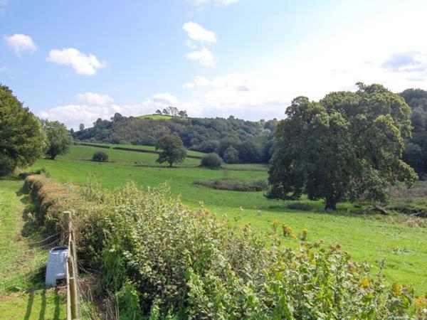 Ffynnonlwyd Cottage Llangynin Exteriér fotografie